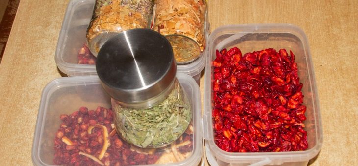 Dried and fermented food experiments