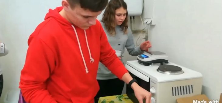 Winter food Conservation experiments in Slovakian school